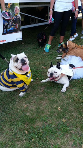 Park «Post Park», reviews and photos, 451 Unqua Rd, Massapequa Park, NY 11762, USA