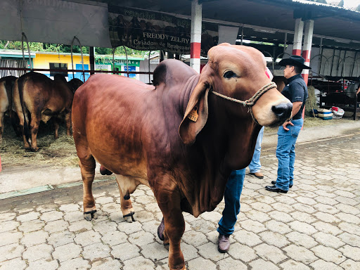 Ferias joyeria Managua