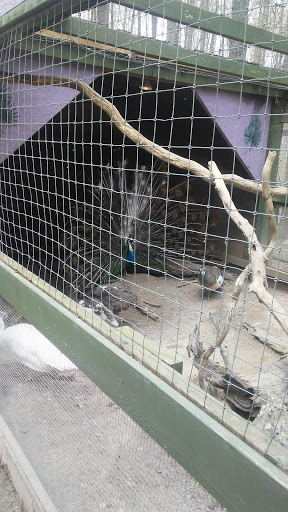 Zoo «3 Palms Zoo & Education Center», reviews and photos, 924 Blackbird Forest Rd, Clayton, DE 19938, USA