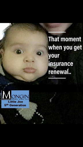 Insurance Agency «Mongin Insurance Agency», reviews and photos
