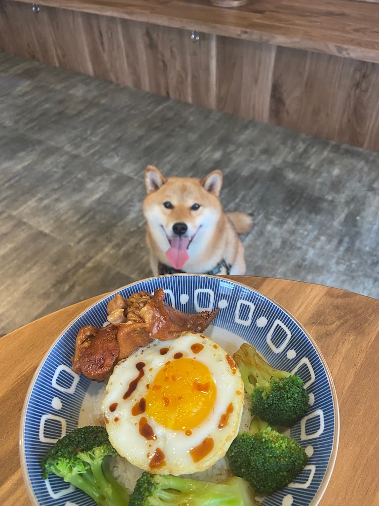 DogKong港式寵物餐廳|寵物友善|港式小吃 的照片