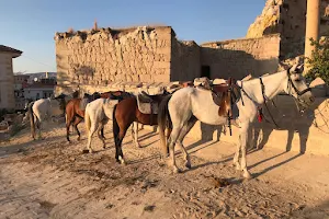 Lucky Horse Ranch image