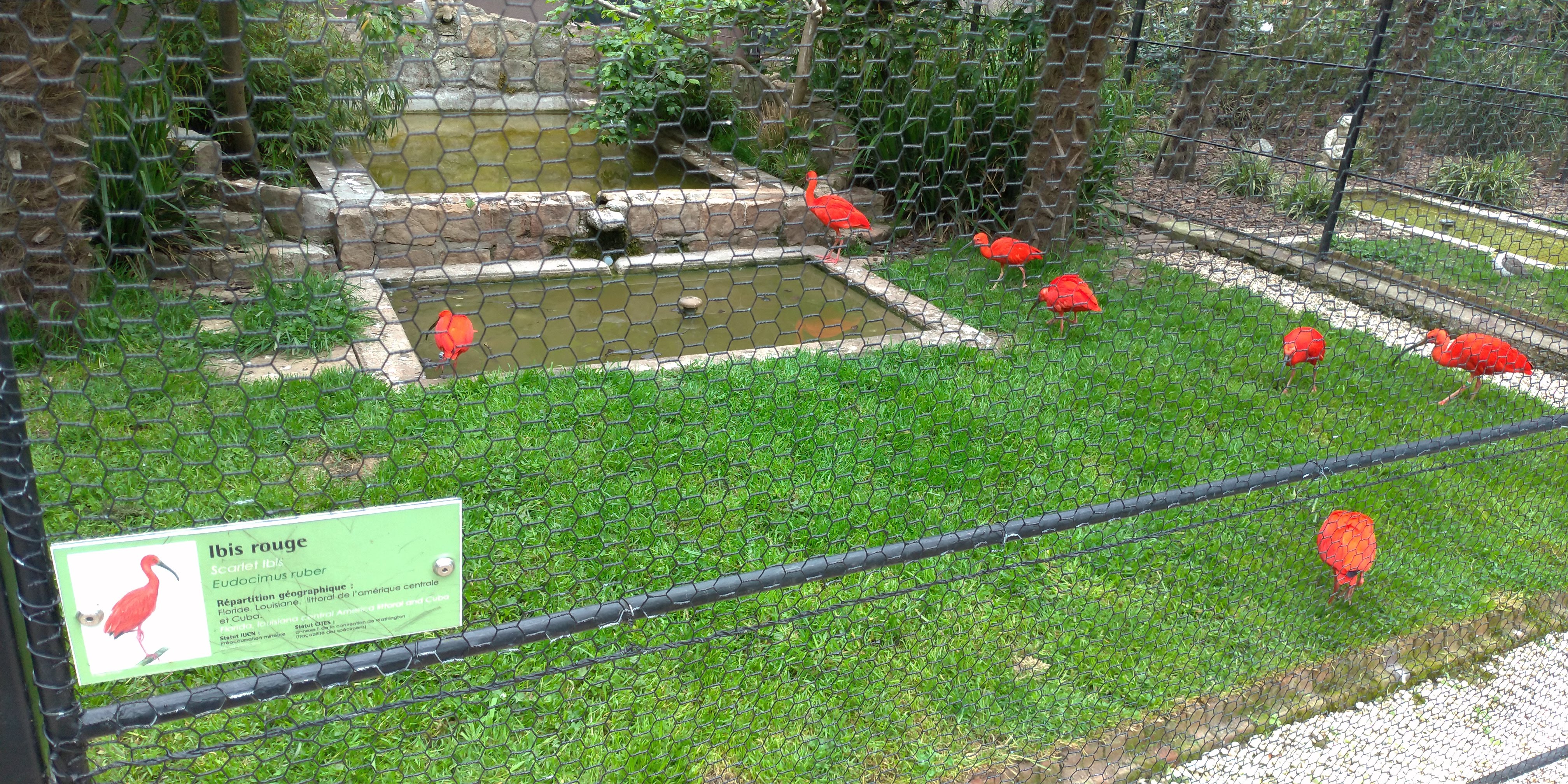 Photo n° 18 de l'avis de Maxime.E fait le 19/05/2019 à 20:15