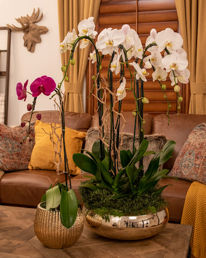 Florist «The Orchid House», reviews and photos, 2265 Coral Way, Miami, FL 33145, USA