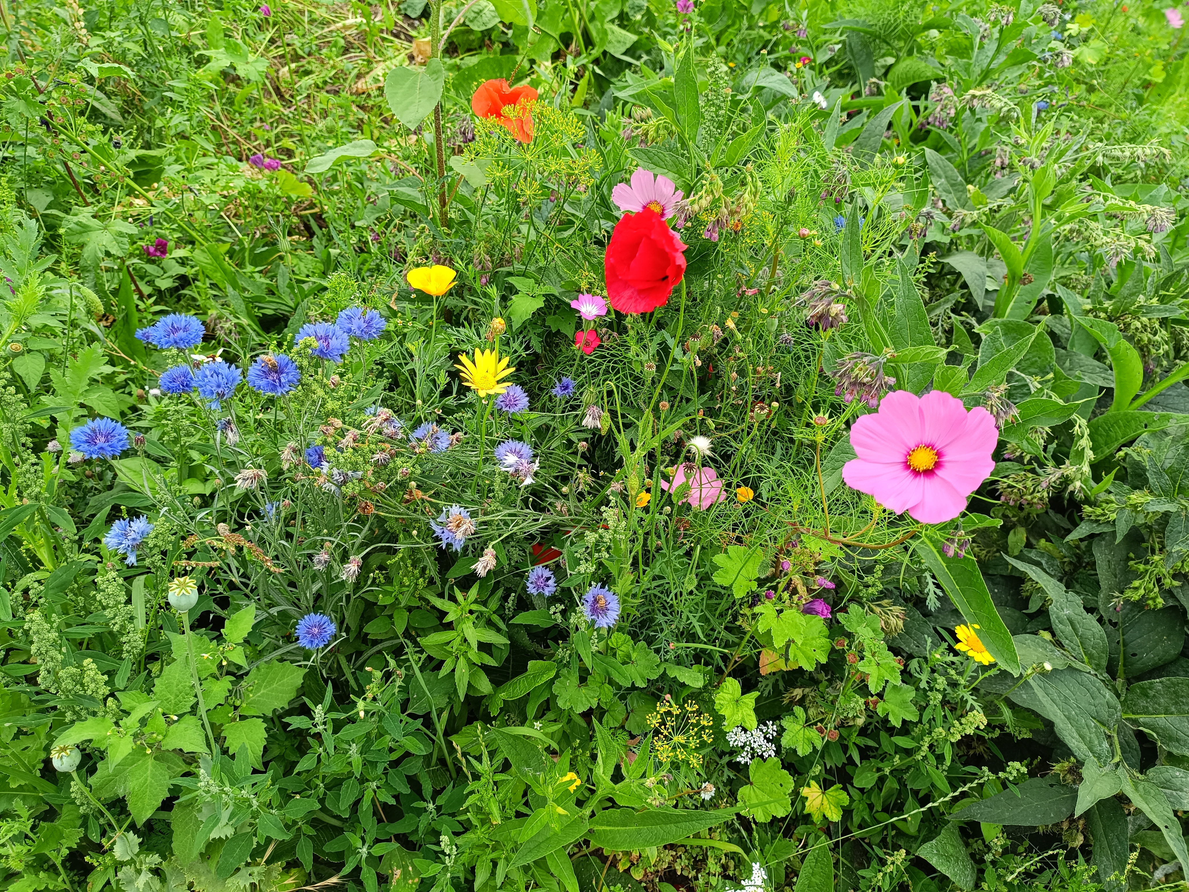 Photo n° 3 de l'avis de Manon.u fait le 16/07/2023 à 14:32