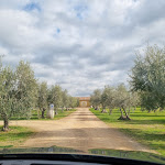 Photo n°3 de l'avis de Rose.. fait le 22/02/2023 à 14:15 sur le  Osteria Caccia al Piano à Bolgheri I