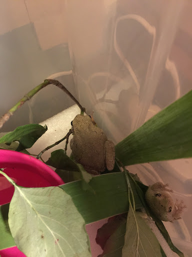 Pet Supply Store «Petco Animal Supplies», reviews and photos, 187 Stonebrook Pl, Jackson, TN 38305, USA