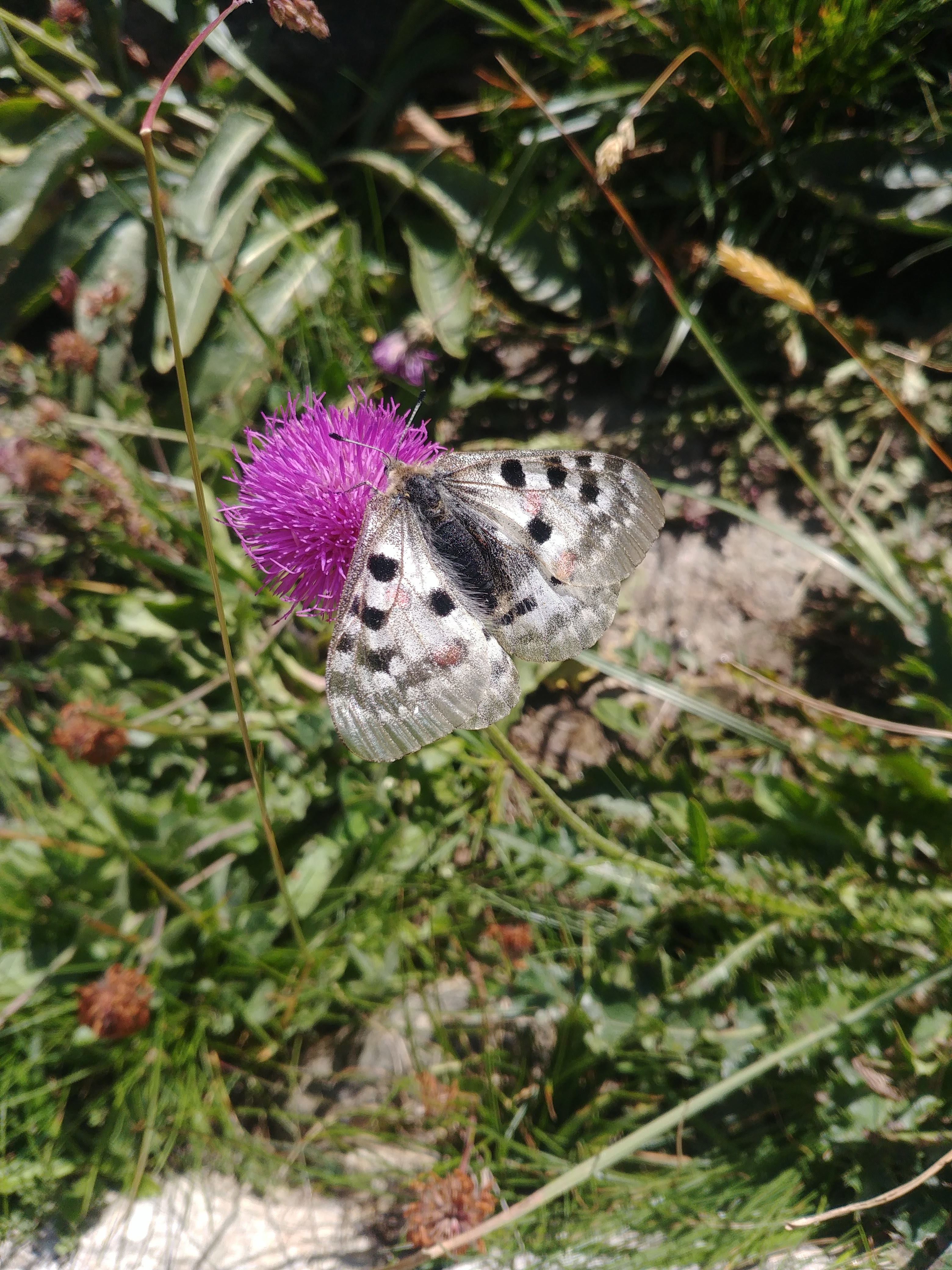 Photo n° 4 de l'avis de François.e fait le 15/08/2019 à 16:58