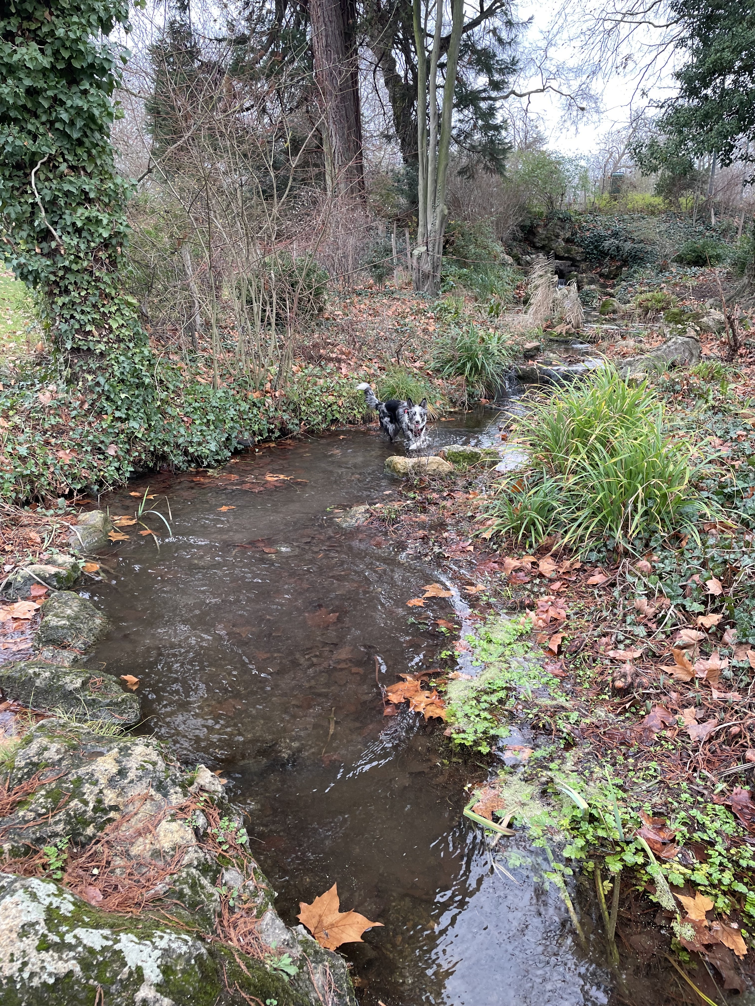 Photo n° 5 de l'avis de Hervé.r fait le 05/03/2023 à 22:04