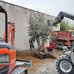 Photo n° 8 de l'avis de jipette.o fait le 07/02/2024 à 16:43 pour Daniel Moquet signe vos allées - Ent. Vernet à Montélimar