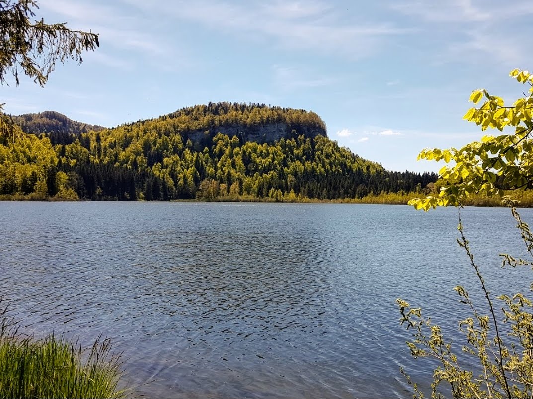 Photo n° 2 de l'avis de Modern.a fait le 03/06/2019 à 23:42