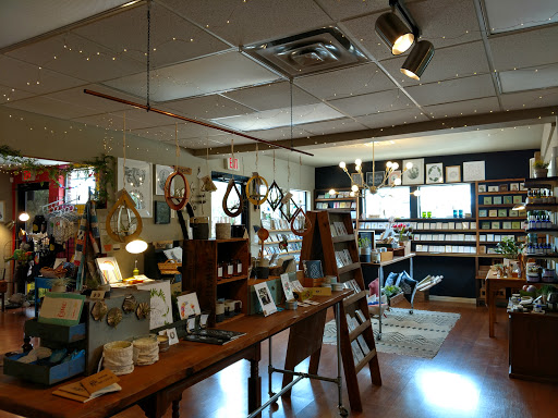 The DIME Store