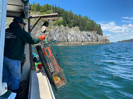 Sightseeing Tour Agency «Lulu Lobster Boat Ride», reviews and photos, 55 West St, Bar Harbor, ME 04609, USA