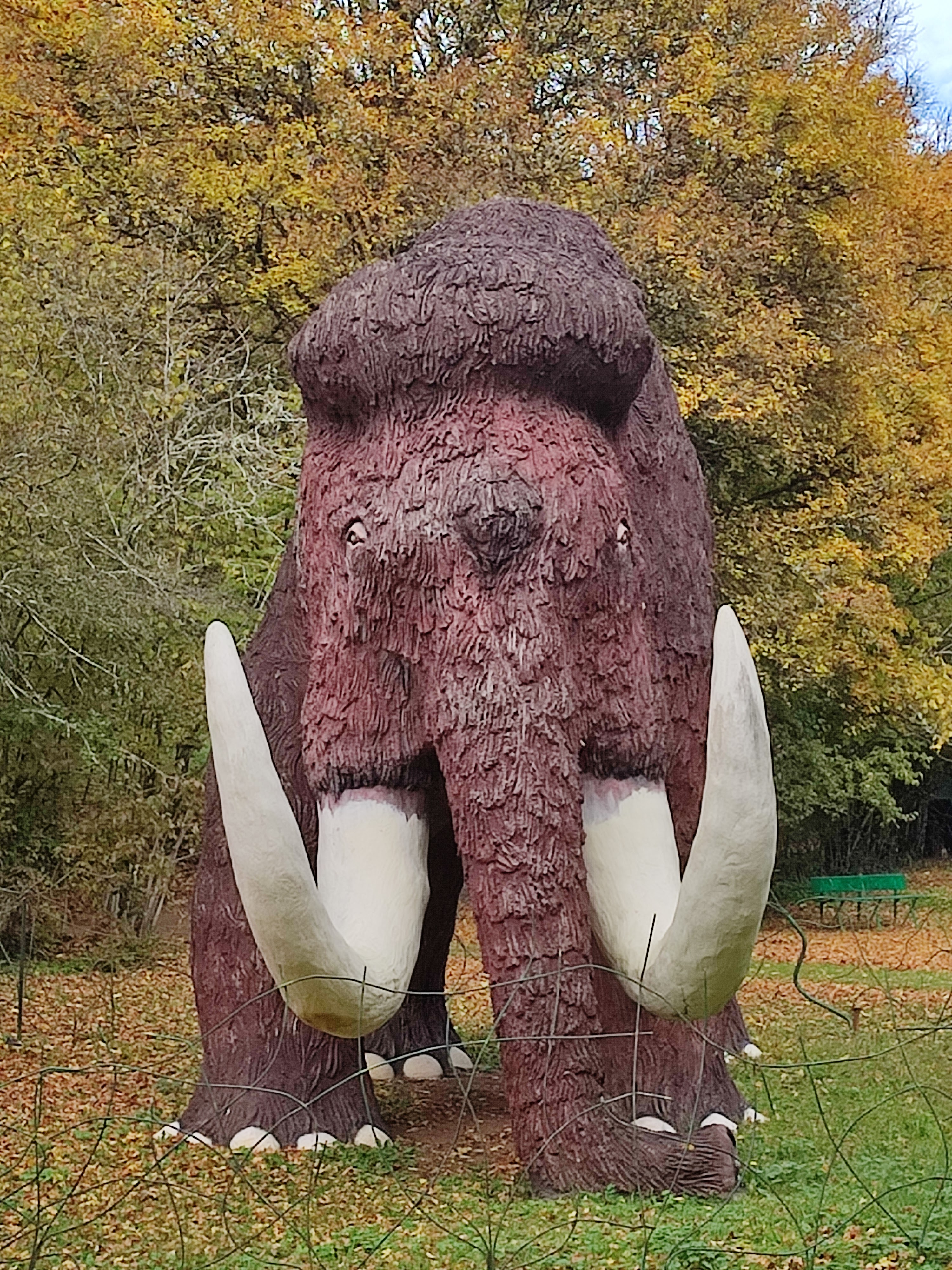 Photo n° 19 de l'avis de Anna.e fait le 05/11/2021 à 20:07