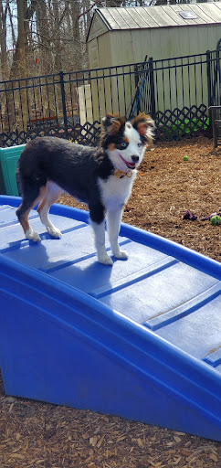 Pet Supply Store «The Hungry Puppy», reviews and photos, 1288 NJ-33, Farmingdale, NJ 07727, USA