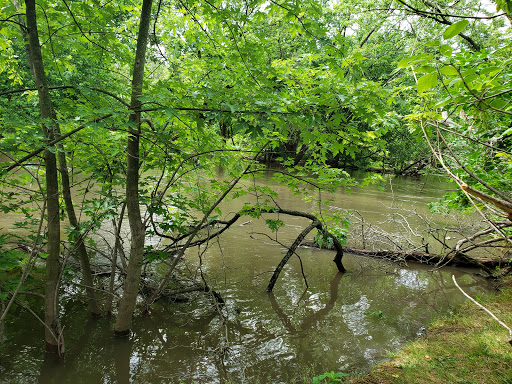 LaBagh Woods, West Foster Avenue, N Cicero Ave, Chicago, IL 60630