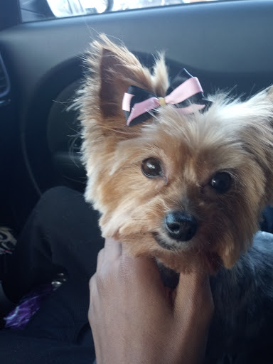 Pet Supply Store «PetSmart», reviews and photos, 2017 N Prospect Ave, Champaign, IL 61822, USA