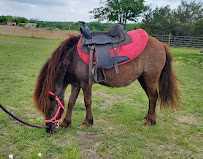 Belton Pony Party Barn - Photo 3 - Car repair in Belton, TX, Killeen