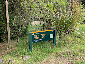 Opua Forest Paihia Lookout Track