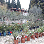 Photo n°1 de l'avis de Viviana.l fait le 17/11/2018 à 15:51 sur le  Le Lune ristorante nel vivaio à Florence