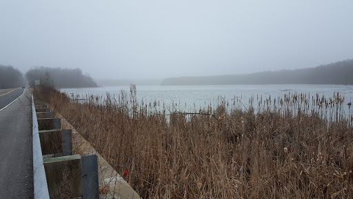 Nature Preserve «Pulaski Woods East», reviews and photos, 9600 Wolf Rd, Willow Springs, IL 60480, USA