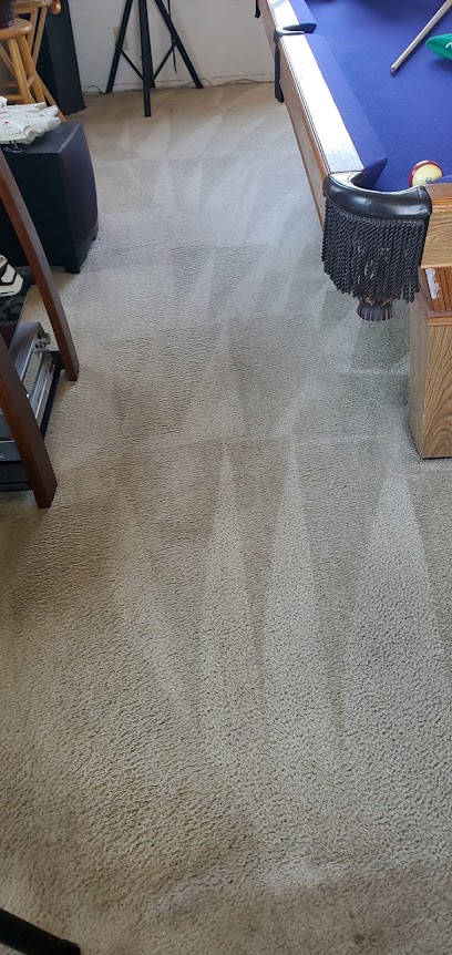 Eco friendly carpet cleaning services