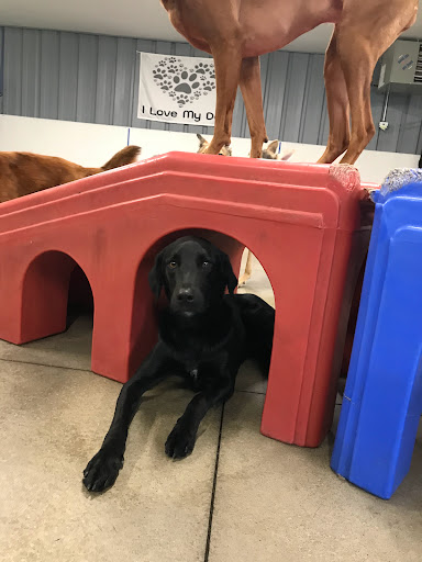 Pet Store «Happy, Clean and Smart», reviews and photos, 5700 W Kilgore Ave, Muncie, IN 47304, USA