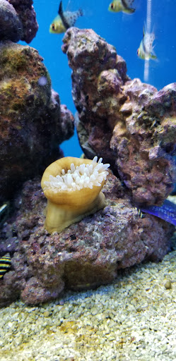 Pet Supply Store «Petco Animal Supplies», reviews and photos, 2689 Market Center Dr, Rockwall, TX 75032, USA