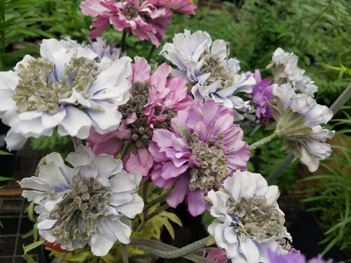 Garden Center «Trail Gardens», reviews and photos, 154 Gordon Nagle Trail, Pottsville, PA 17901, USA