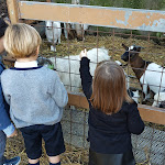 Photo n°1 de l'avis de A..i fait le 02/01/2019 à 19:29 sur le  Agriturismo Vivinatura Hotel Country Resort à Pompei