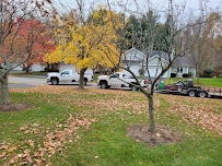 Trimline Landscape Management - Photo 9 - Car repair in Rochester, NY, Rochester