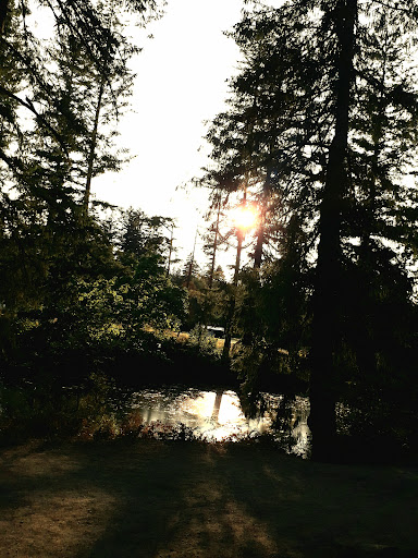 Produce Market «Camas Produce», reviews and photos, 2940 NE Everett St, Camas, WA 98607, USA