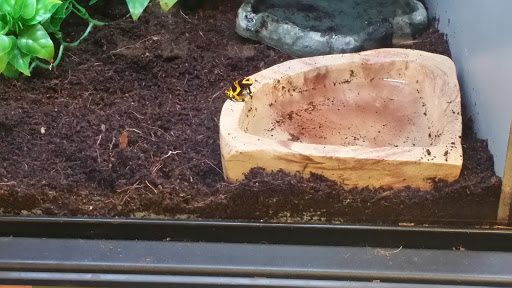 Pet Supply Store «Petco Animal Supplies», reviews and photos, 7907 State Highway N, Dardenne Prairie, MO 63368, USA