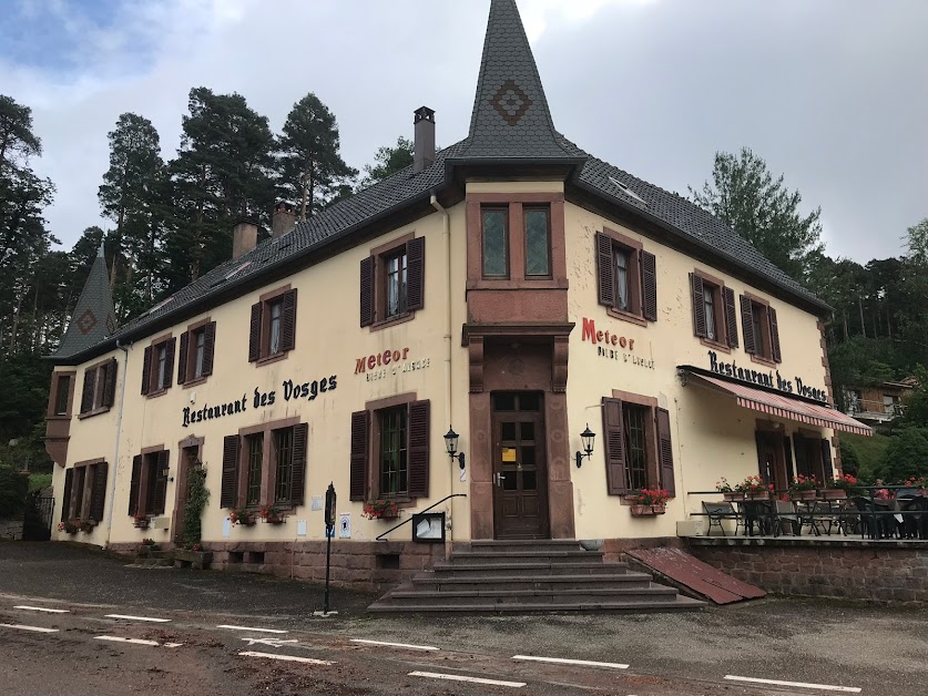 Hôtel-Restaurant des Vosges à Wangenbourg-Engenthal