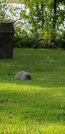 Water Park «Pioneer Waterland & Dry Fun Park», reviews and photos, 10661 Kile Rd, Chardon, OH 44024, USA