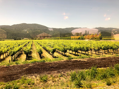 Napa Valley Wineries Tours