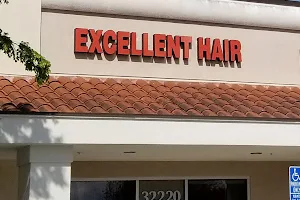 Excellent Hair image