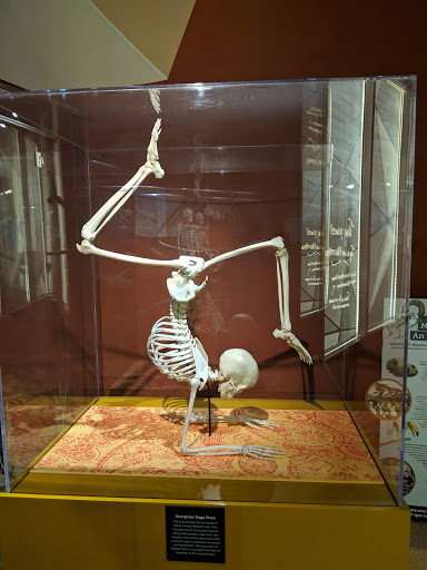 Museum «SKELETONS: Museum Of Osteology», reviews and photos, 8441 International Dr Suite 250, Orlando, FL 32819, USA