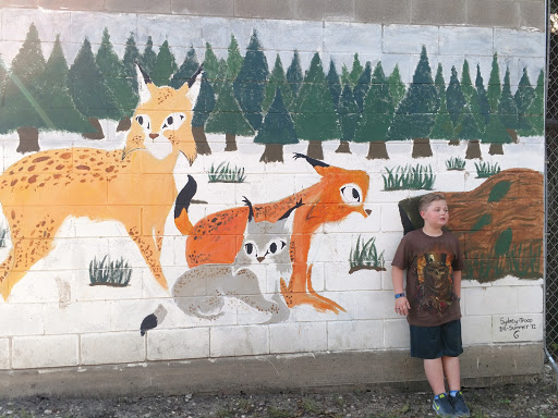 Wildlife Rescue Service «In-Sync Exotics», reviews and photos, 3430 Skyview Dr, Wylie, TX 75098, USA