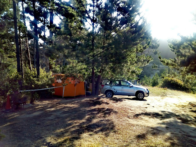 Campamento Pinares De Curaumilla - Camping