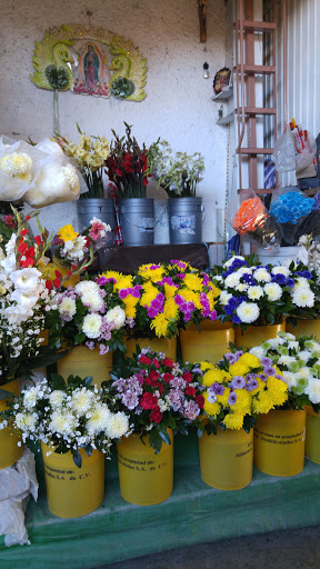 Floreria Chely – Ixmiquilpan