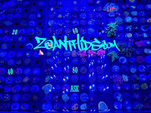 Convention Center «Northshore Harbor Center», reviews and photos, 100 Harbor Center Blvd, Slidell, LA 70461, USA