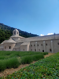 Abbaye Notre-Dame de Sénanque du Restaurant Le Renaissance à Gordes - n°1