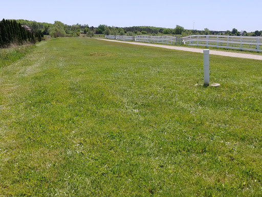 Anderson And Goodrow Equine Vet Services image