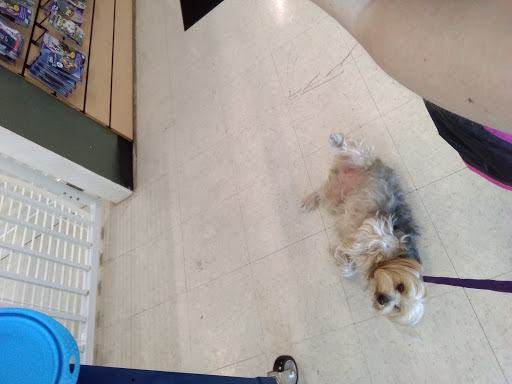 Pet Store «Debbies Pet Boutique», reviews and photos, 431 Center St, Healdsburg, CA 95448, USA