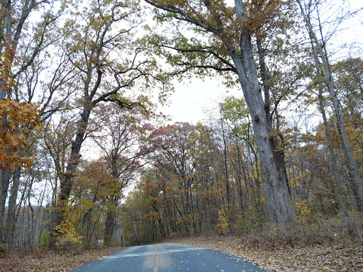 Nature Preserve «Messenger Woods Nature Preserve», reviews and photos, 13800 W Bruce Rd, Homer Glen, IL 60491, USA