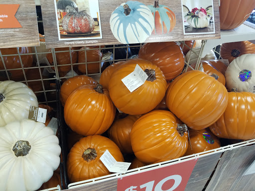 Craft Store «Michaels», reviews and photos, 5382 S Wadsworth Blvd, Littleton, CO 80123, USA