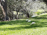 WaterFall Pools, Inc. - Photo 7 - Car repair in Coral Springs, FL, Coral Springs