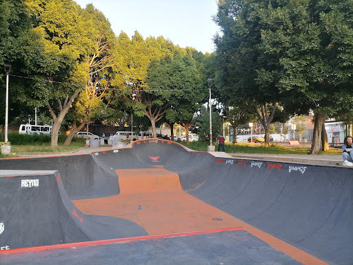 Skate Plaza Xonaca