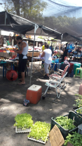 Feria de Colón - Ciudad del Plata